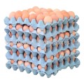 Local Free Range Eggs Tray 30pcs